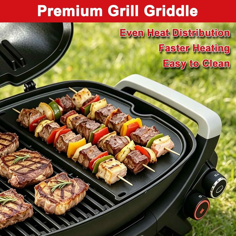DELSbbq Cast Iron Griddle Insert for Weber Q Series Gas