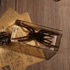 Pokiphip Taxidermy Spider, Real Spider Specimens Animal Specimen in Resin
