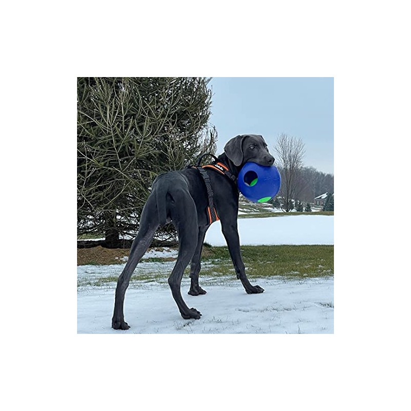 Jolly Pets - Pelota de Juguete, Azul, 8 Pulgadas