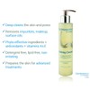 Quintessence Purifying Cleanser