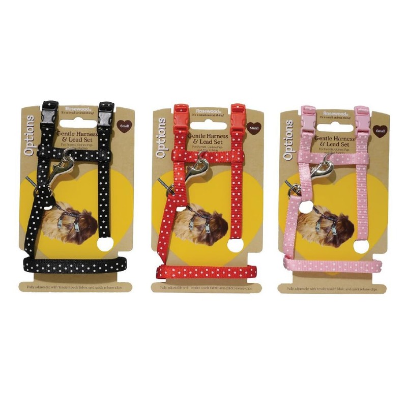Polka Dot Harness & Lead For Rabbits Large