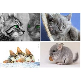 20 Animal Mix Postcards - 20 Individual and Unique Pictures
