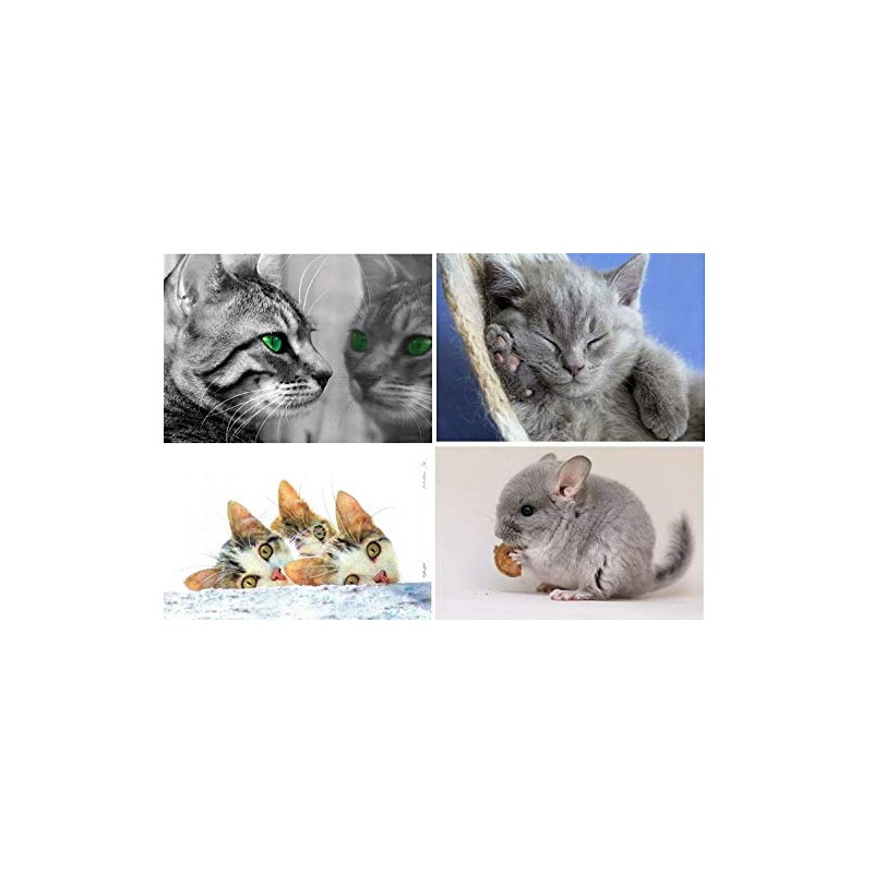 20 Animal Mix Postcards - 20 Individual and Unique Pictures