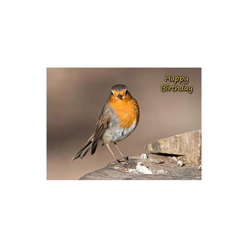 Robin Birthday Card