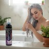 Shampoo Chic Style Matizador 500 Ml Filtro Uv Plata