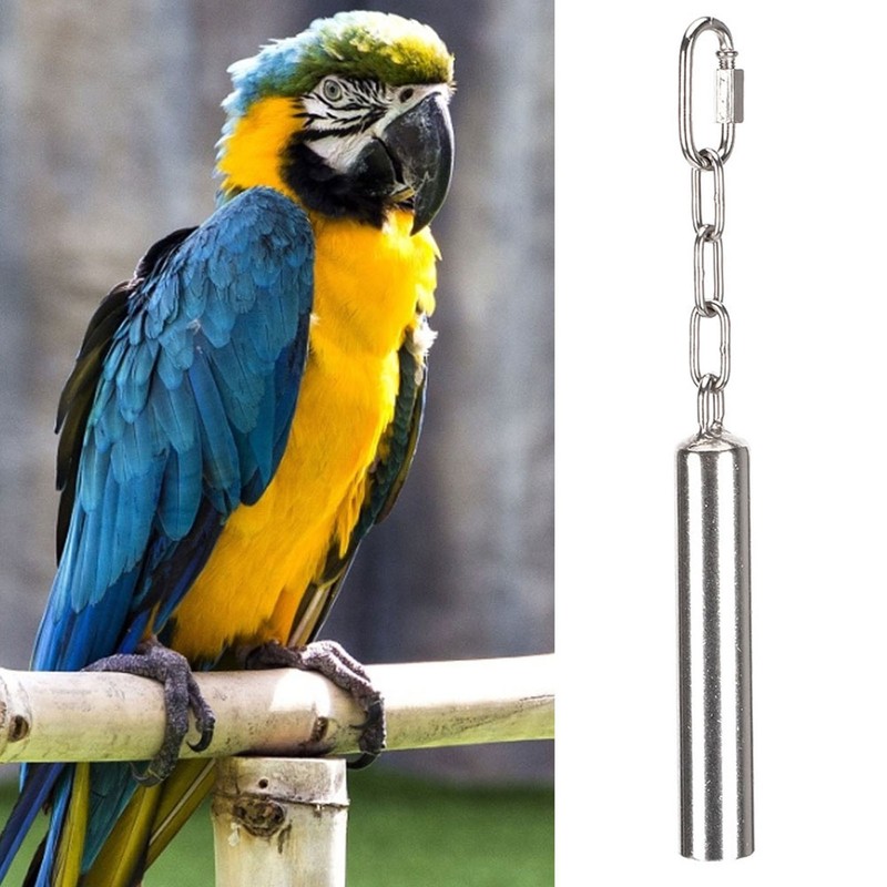 Squirrel Bells Stainless Steel Bells Toys for Birds Large Parrot