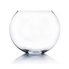 WGV Moon Vase, 16" x 6"W, 13" H, Clear Glass