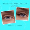 Long Stem Premade Fans 4D 0.10mm D Curl 12mm, Premade