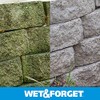 Wet & Forget No Scrub Outdoor Cleaner for Easy Removal
