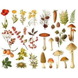 Seasonstorm Pink Sakura Cherry Blossoms Precut Anti-UV Waterproof Decoration Album Planner Stickers Scrapbooking Diary Sticky Paper Flakes (PK347)