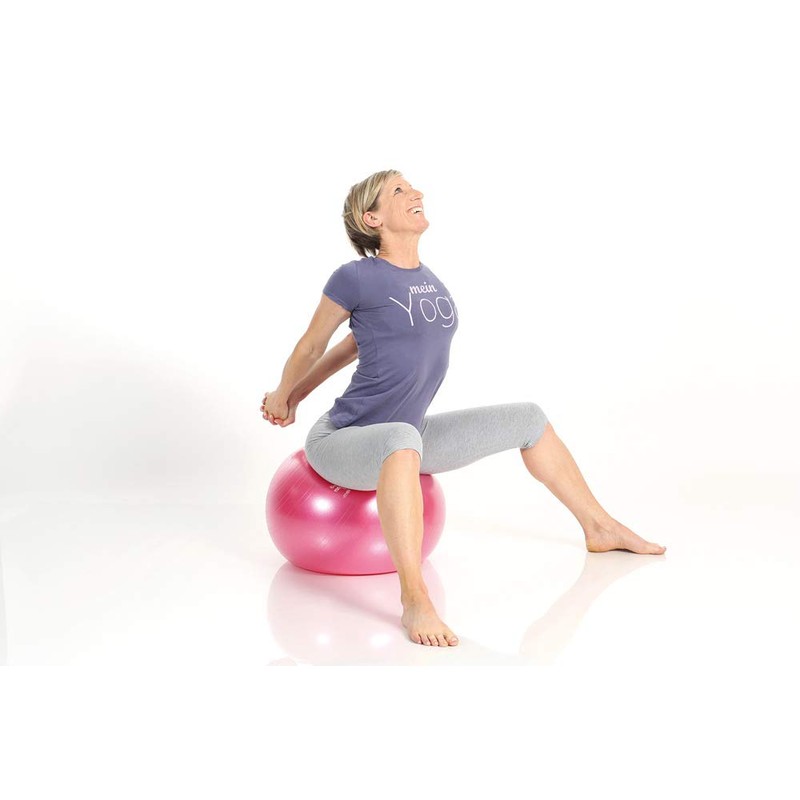 Togu Redondo Mein Yoga Exercise Ball 42 cm