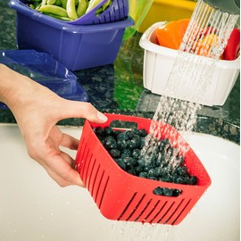 Hutzler 374RD Berry Keeper Box, 1 Quart, Red