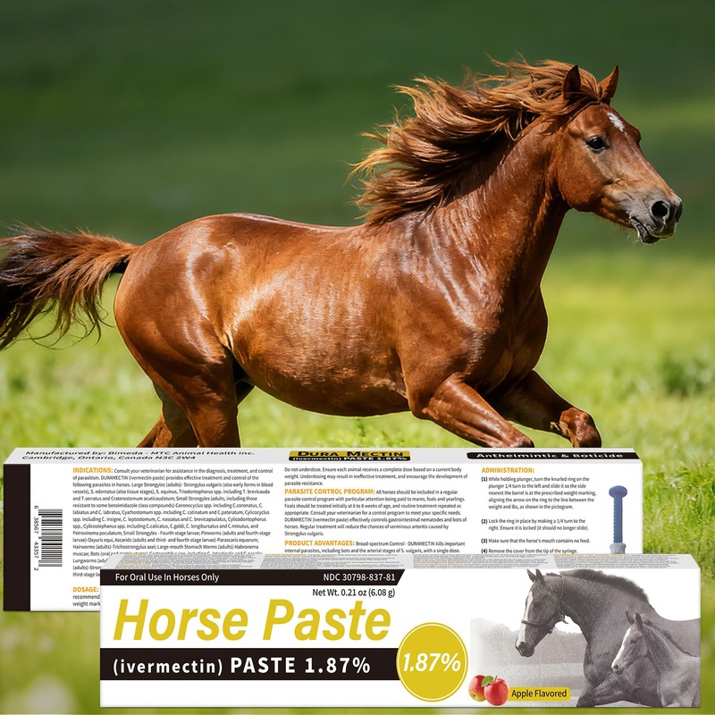 6 Pack Equine Paste 1.87% – 6.08g Each Apple Flavored