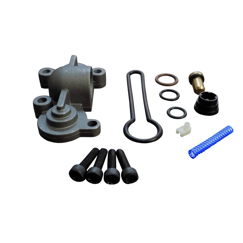 Upgraded Fuel Pressure Regulator - Blue Spring Kit for 6.0l