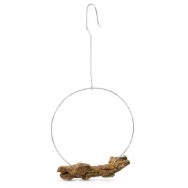 Aeravida Rustic Farmhouse Root Teak Wood on Hoop Air Plants Holder Hanging Display Pot