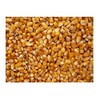 Bulk Grains 100% Organic Yellow Popcorn Bulk 5 Lbs