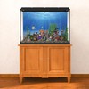 MIRRORANG 61x30cm Undersea Theme Aquarium Background Sunshine Underwater World Fish
