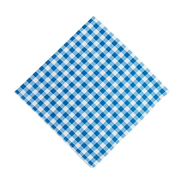 Blue Gingham Luncheon Napkins (bulk set 48) Event and Party