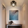 iDEGU Industrial Ceiling Light Cage Chandelier Metal Iron Light for