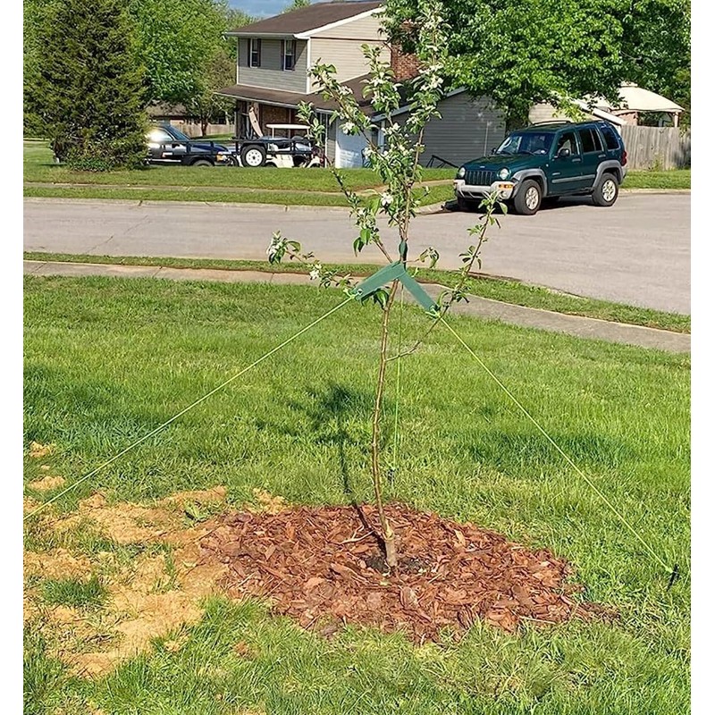 3Pcs Tree Stake Kit, 3Pcs 30CM Heavy Duty Tree Stake