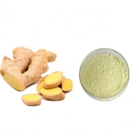 Ginger Extract Powder 1kg