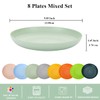 Berglander 9 Inch Plastic Deep Dinner Plates Set of 8