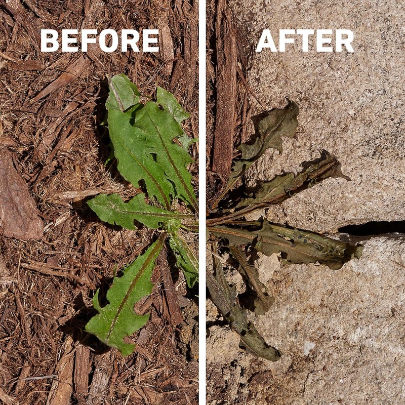 Spruce Weed Killer Spray - Snap & Spray Weed &