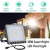 Fairyland LED Spotlight with Plug, 10 W, 20 W, 30