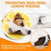 Recovery Collars & Cones (Large)