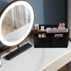 AWAVM Bag Organizer Insert - Multi-Pocket Felt Liner for Handbags,