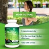 True Moringa Plus+ Joint Support Supplement 10:1 Extract | 20,000mg