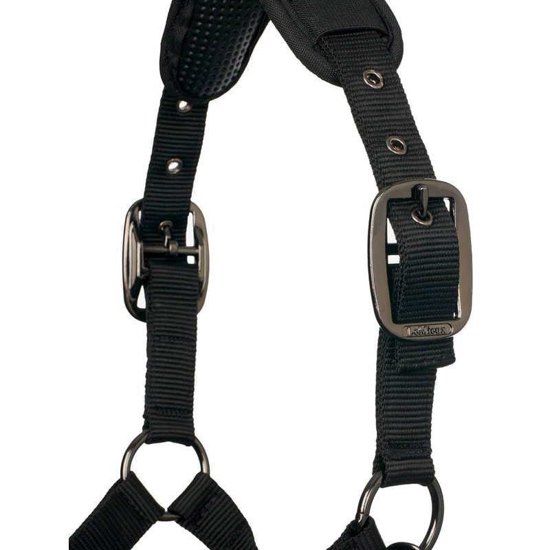 ProSafe Horse Headcollar in Black - Extra Padding - Adjustable