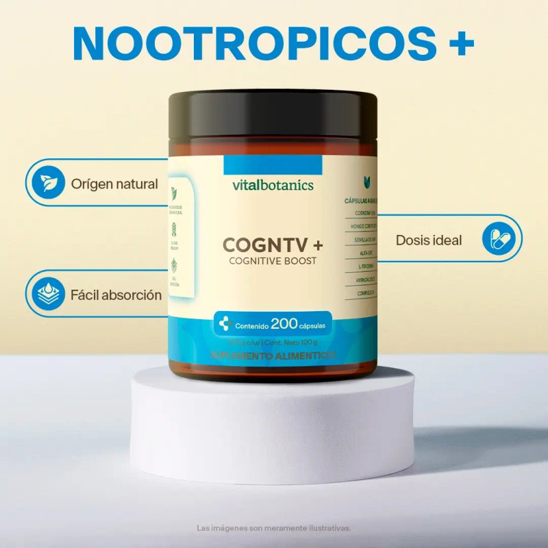 Vital Botanics Suplemento Alimenticio Nootrópico Multivitamínico Mujer Hombre Vitaminas Teanina