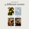 drift Drift Home Scent Diffuser Starter Kit in Grove -