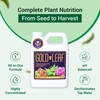 1L Gold Leaf All-in-One Liquid Fertilizer – pH Balanced, Instantly