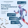 Life Enhancement Potassium Basics 240 Caps by Life Enhancement