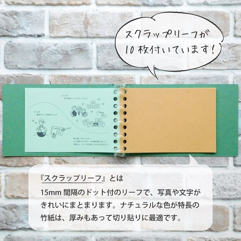 Maruman FM62-03 Loose Leaf Binder, Mini Size, Makeup Ones Day,
