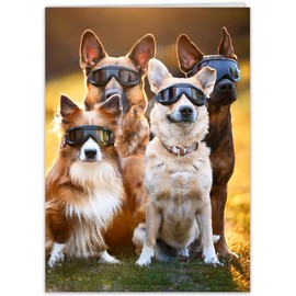 Funny Dog Birthday Card for men, women - hilarious greeting card for a bright candle celebration