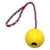 4 Pieces Dog Ball on Rope Interactive Dog Training Ball