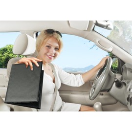Pubblimania Document Folder for Car Motorcycle 3 Doors + Card Holder Made in Italy for Brochures, Maps, Insurance, Stamps or Travel Documents (Black Carbon)