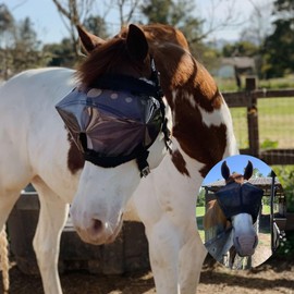 Recovery Vizor, (Size Full - Dark UV Tint) Medical and Preventative Horse Eye Protection Mask for Uveitis, Injury, Scratch or Corneal Ulcer, Infection, Blindness, Photosensitivity