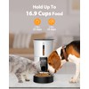Petory Timed Automatic Cat Feeders - 4L Programable Dry Food