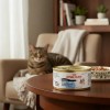 Royal Canin Ultra Light Comida Húmeda Gatos Adultos 6 X