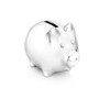 Zilverstad Money Box, Pig
