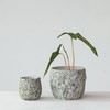 Creative Co-Op Embossed Floral Cement Planter, Distressed Green