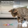 Petstages Dental Kitty - Juguete para Gatos