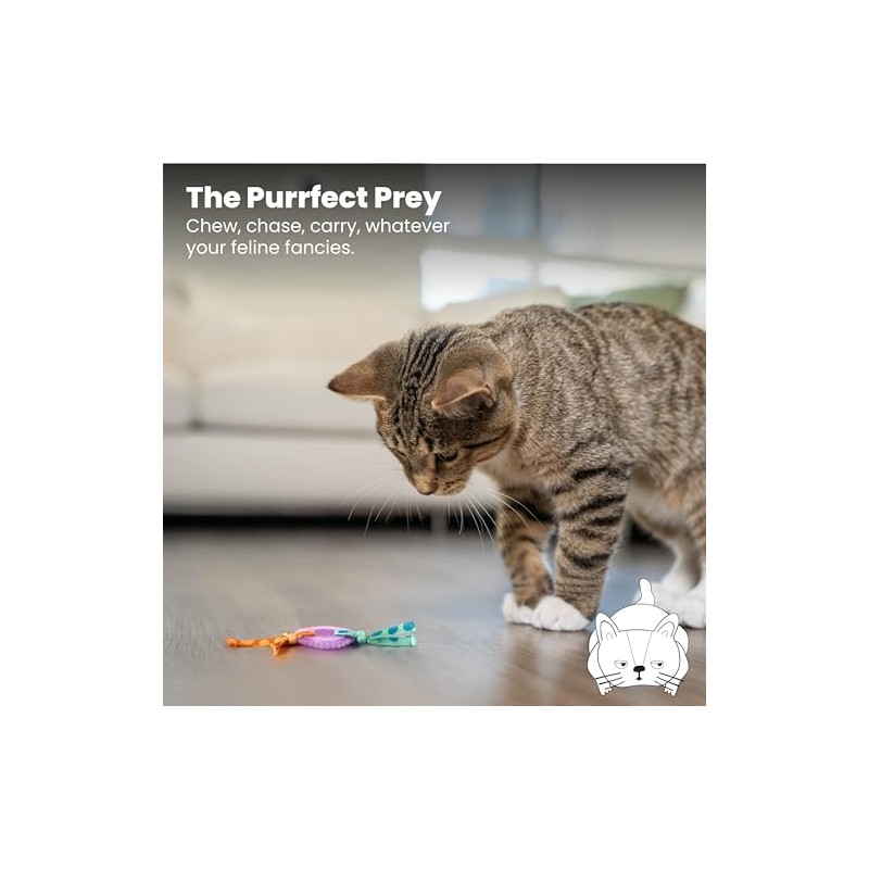 Petstages Dental Kitty - Juguete para Gatos