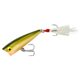 Rebel Lures Pop-R Topwater Popper Fishing Lure, Tennessee Shad, Teeny Pop-R (1/8 oz), 2-Inch
