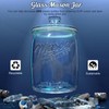 Dwbligt 2 Pack Cookie Jar, 1 Gallon Glass Jar with
