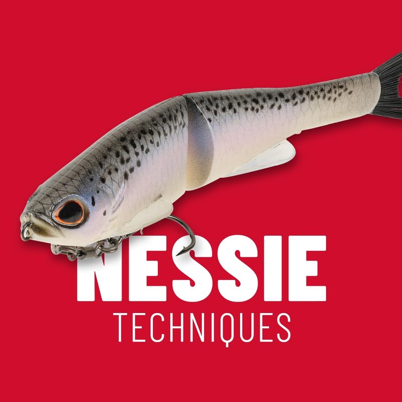 PowerBait Nessie-Box-Rainbow Trout-